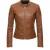 Brown Cropped Leather Jacket